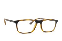 Emporio Armani EA 4160 58021W 55 (sonnenclip)