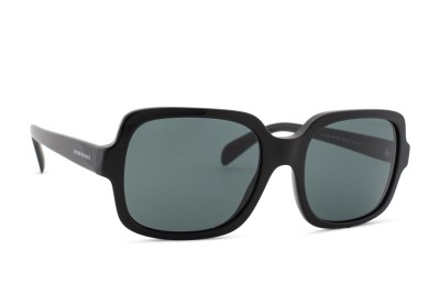 Image of Emporio Armani EA 4195 501787 55