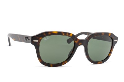 Ray-Ban Erik RB4398 902/31