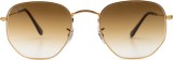 Ray-Ban Hexagonal RB3548 001/51 15424