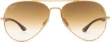 Ray-Ban RB3675 001/51 58 17462