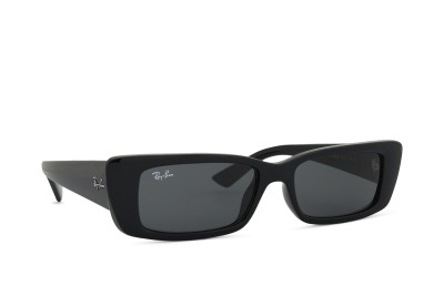 Ray-Ban Teru RB4425 667787 54